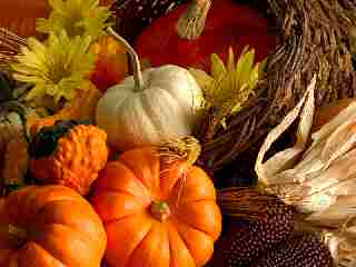 gourds